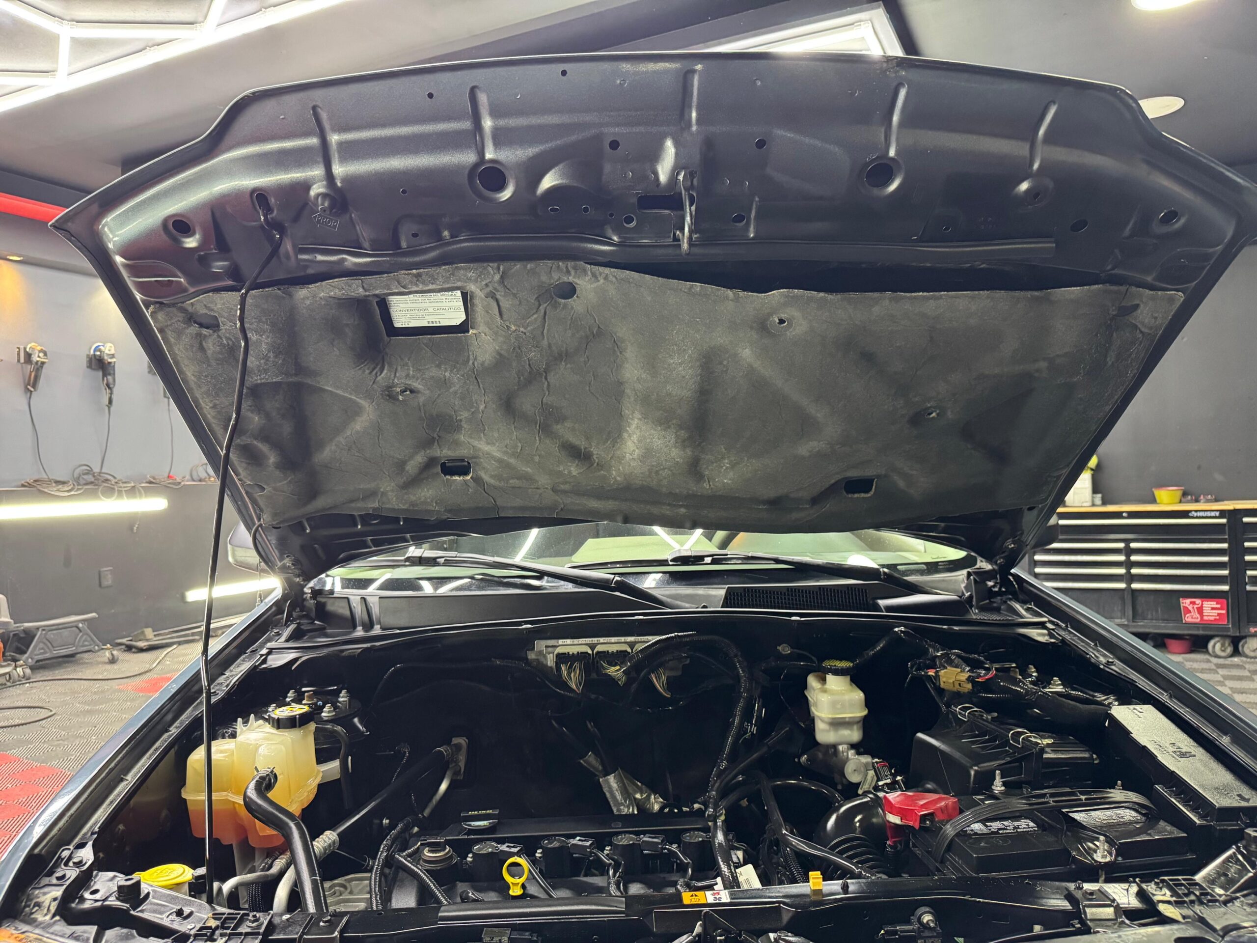 FORD ESCAPE  XLS 2011 - Image 10